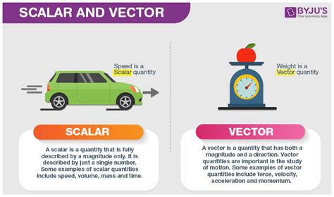 Scalars and Vectors .